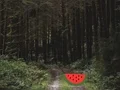 Žaidimas Dense Forest Deer Escape internete