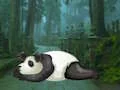 Žaidimas Wakeup The Sleeping Panda internete