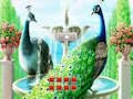 Žaidimas Escape From Peacock Land internete
