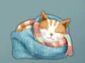 Žaidimas Adorable Escape Find Cute Kitten internete