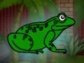 Žaidimas Rescue The Green Toad From Underground internete