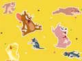 Žaidimas The Tom and Jerry Show Find it! internete