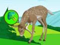 Žaidimas The Deer Meadow Escape internete