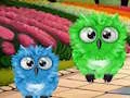 Žaidimas Hues and Hoots Escape internete