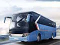 Žaidimas Bus Simulator Driving 3D internete