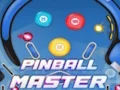 Žaidimas Pinball Master internete