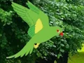 Žaidimas Parrot Find The Nest internete