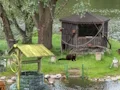 Žaidimas Mystery Lake Escape internete