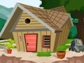 Žaidimas Super Boy Escape internete