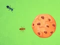 Žaidimas Ant vs Cookie internete