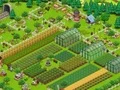 Žaidimas Country Life Meadows: A Farming Adventure internete