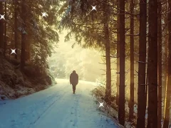 Žaidimas Winter Hidden Stars internete