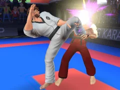 Žaidimas Karate Fighter internete