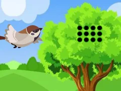 Žaidimas Sparrow Meets Crow Buddies internete