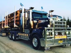 Žaidimas American City Truck Transporting internete
