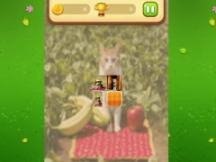 Žaidimas Farm Cat Memory Match internete