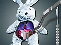Žaidimas Save The Bunny internete