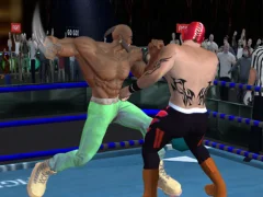 Žaidimas Real Boxing Fighting Game internete
