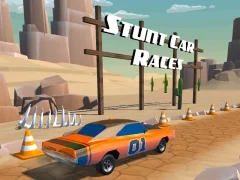 Žaidimas Stunt car Races internete