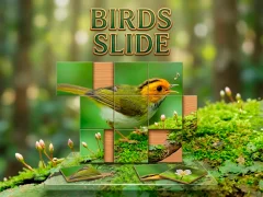 Žaidimas Birds Slide internete