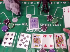 Žaidimas Casual Poker Online internete