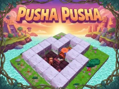 Žaidimas Pusha Pusha internete
