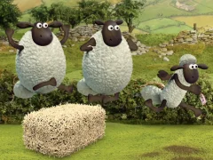 Žaidimas Shaun the Sheep Alien Athletics internete