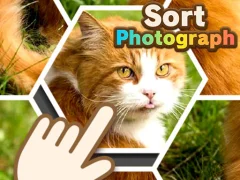 Žaidimas Sort Photograph internete