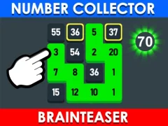 Žaidimas Number Collector: Brainteaser internete