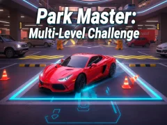 Žaidimas Park Master: Multi-Level Challenge internete