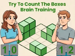 Žaidimas Try To Count The Boxes Brain Training internete