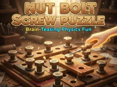 Žaidimas Nut Bolt Screw Puzzle internete