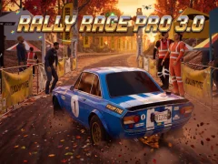 Žaidimas Rally Race Pro 3 internete