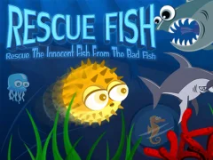 Žaidimas Rescue Fish internete