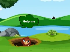 Žaidimas Help Injured Bird Fallen Down internete