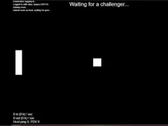 Žaidimas Multiplayer Pong internete