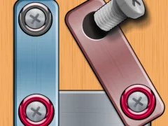 Žaidimas Nuts & Bolts Puzzle internete