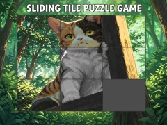 Žaidimas Sliding Tile Puzzle Game internete