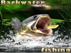 Žaidimas Backwater Fishing internete