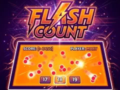 Žaidimas Flash Count internete