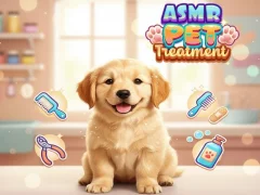 Žaidimas Asmr Pet Treatment internete