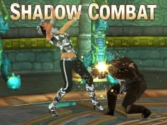 Žaidimas Shadow Combat internete