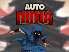 Žaidimas Auto Ninja internete