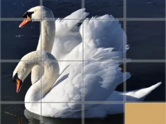 Žaidimas Animals Slide Puzzle internete