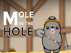 Žaidimas Mole in the Hole internete