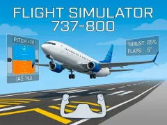 Žaidimas Flight Simulator 737-800 internete