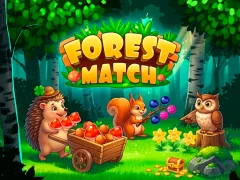 Žaidimas Forest Match internete