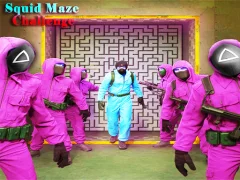 Žaidimas Squid Maze Challenge internete