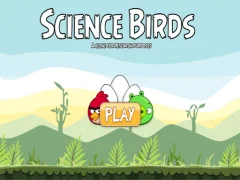Žaidimas Science Birds internete