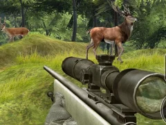 Žaidimas Stag Hunt internete